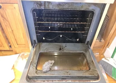 Professional House Cleaner